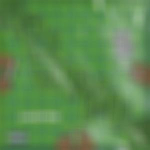 Roll Wimmie (Explicit)