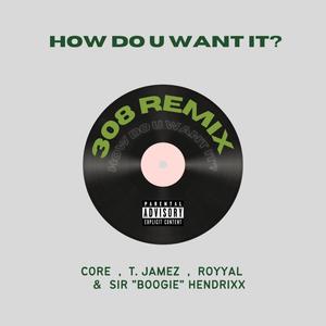 How Do U Want It? (feat. T. Jamez, Royyal music & Sir "Boogie" Hendrixx) [Explicit]