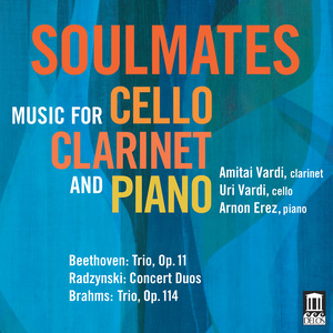 Chamber Music (Duo and Trios With Clarinet) - Beethoven, L. Van / Radzynski, J. / Brahms, J. (Soulmates) [A. Vardi, U. Vardi, A. Erez]