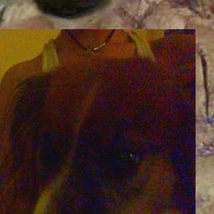 FACE CANVAS (Explicit)