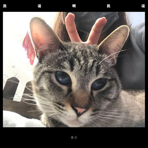 请以你的名字呼唤我