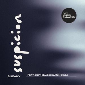 Sneaky Suspicion (feat. Dom Elias & Elan Noelle)