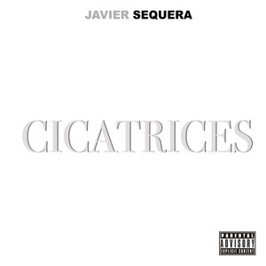 Cicatrices