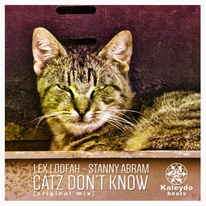 Catz Don't Know (Original Mix)