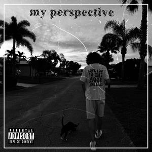 my perspective (Explicit)