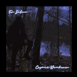Fer Silva - Cosmic Wonderer