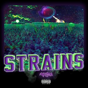 Strains (Explicit)