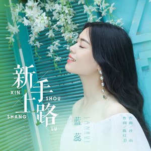 新手上路 (DJ版伴奏)