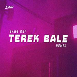 TEREK BALE (BREAKBEAT REMIX)