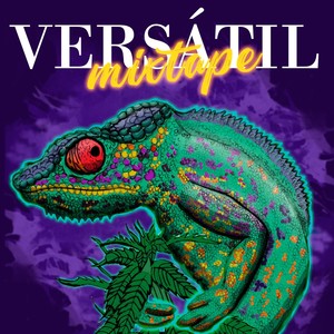 Versátil Mixtape (Explicit)