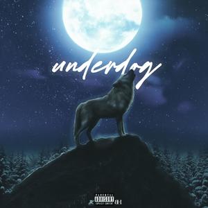 Underdog (Deluxe) [Explicit]