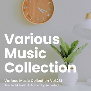 Various Music Collection Vol.231 -Selected & Music-Published by Audiostock-