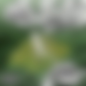 Ryz Hope - Thirst for Gore (Explicit)