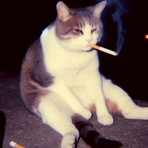 Otro Trago (Ultra Slowed)