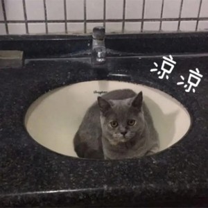 凉凉封面
