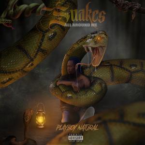 Snakes All Around Me (Explicit)