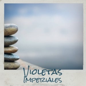 Han Puesto Iluminacion(Alegrias)