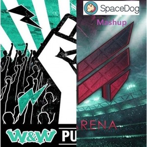 W&W / Reez - Put Em Up In Arena (SpaceDog Mashup)