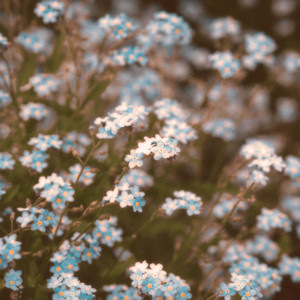 To Remember (Explicit)