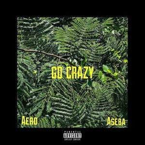 Go crazy (feat. ASEBA) [Explicit]