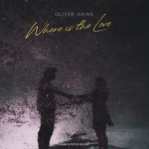 Where Is the Love (Radio Mix)