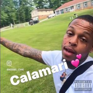 Calamari, Hit Different (Explicit)