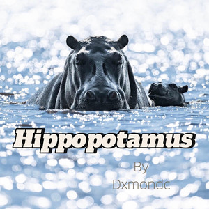 Hippopotamus