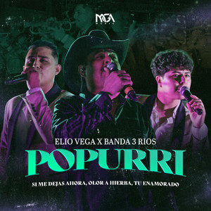 Popurrí (Si Me Dejas Ahora, Olor a Hierba, Tu Enamorado)