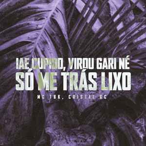 Iae Cupido, Virou Gari Né Só Me Trás Lixo