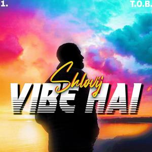 VIBE HAI