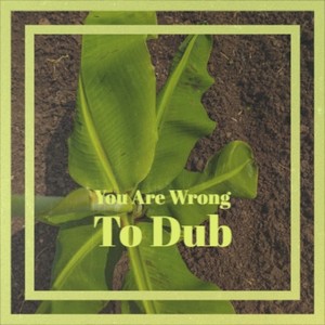 You Are Wrong to Dub