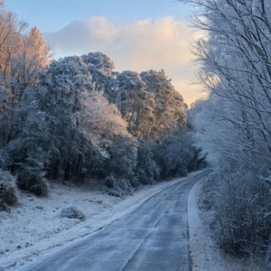 Frozen in January