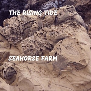 Seahorse Farm (Explicit)