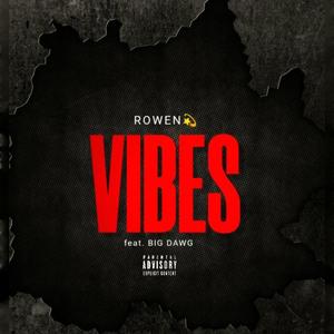 VIBES (feat. Big Dawg) [Explicit]