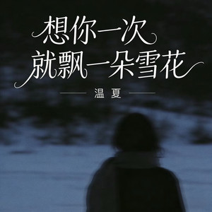 想你一次就飘一朵雪花