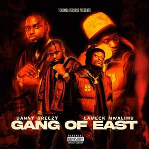 Gang of East (feat. Danny Breezy) (Explicit)