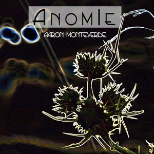 Anomie 2013