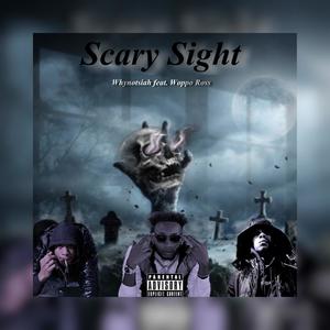 Scary Sight (feat. Woppo Ross) [Explicit]