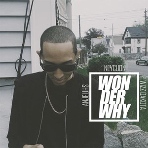 Wonder Why (feat. Anjelihs & Wizz Dakota) [Explicit]