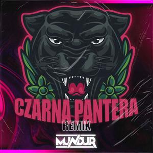 CZARNA PANTERA (feat. PANTERA.REE & DRON)