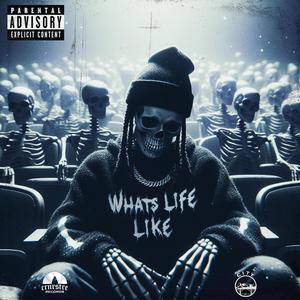 What's Life Like? (Explicit)