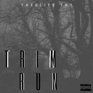 Trim Run (Explicit)