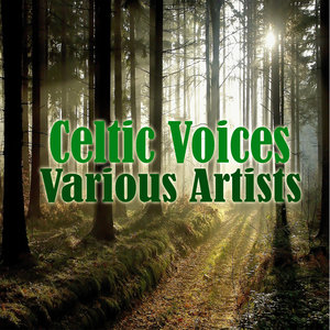 Celtic Voices - Man