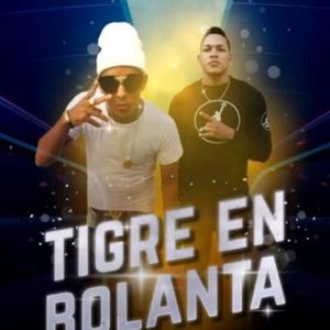 tigre en bolanta