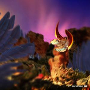 WAITING FOR THE SUNRISE