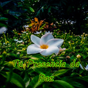 Tu Presencia da Paz