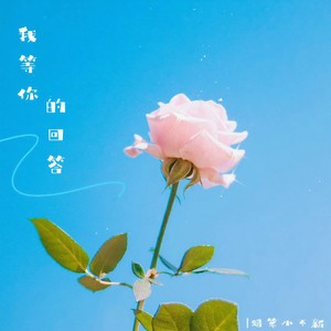我等你的回答