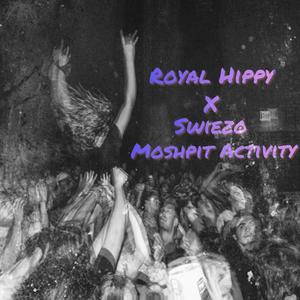 Moshpit Activity (Explicit)