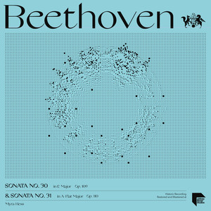 Sonata No. 30 in E Major, Op. 109 - II. Prestissimo