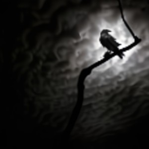 The Raven(music inspired by Edgar Allan Poe's poem)
